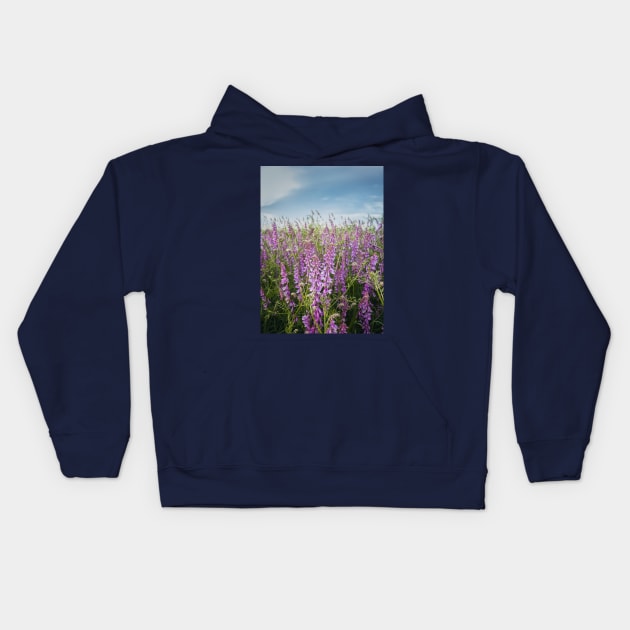 blooming tufted vetch flowers Kids Hoodie by psychoshadow